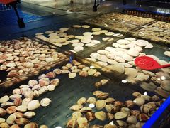 -焰江山海鲜牛排烤肉自助(锦华万达二星店)