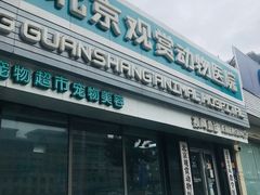 -北京观赏动物医院·24小时大型综合·猫专科·异宠专科