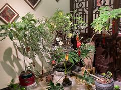 -鸢飞潍坊菜馆(鸢飞大酒店)