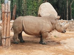 -北京野生动物园