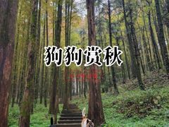 -山王坪喀斯特国家生态公园