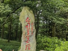 -庐山风景区花径公园