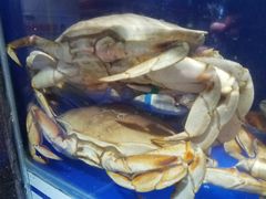 -望海潮海鲜店 特色家常菜(在海一方店)
