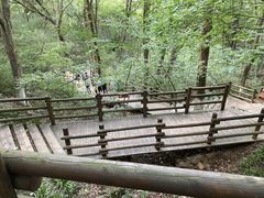 -天目湖山水园