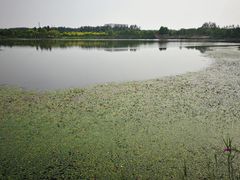 -东郊湿地公园