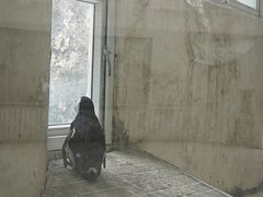 -南昌动物园