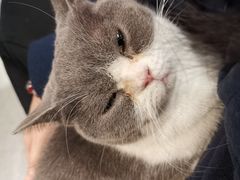 -猫儿山۰猫主题餐厅