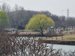 -塘沽森林公园