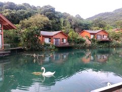 -杭州开元森泊度假乐园