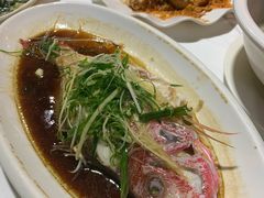 -强记海鲜·大排档(蛇口新街店)