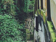 -峨眉山报国寺