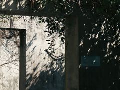 -燕晗山郊野公园