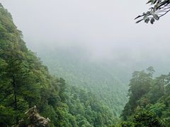 -井冈山风景名胜区