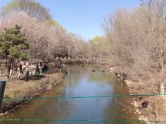 -长白岛森林公园