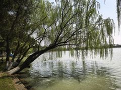-南北湖风景区