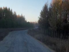 -塞罕坝国家级自然保护区