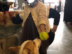 -百好乐宠物友好餐厅(朝外大街店)