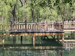 -百里山水画廊