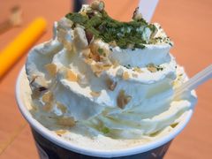 -雾与山茶(大禹城店)