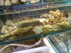 -岳各庄批发市场(西四环中路店)