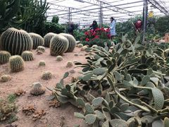 -兰陵国家农业公园