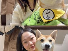 -逗柴咖啡屋·狗咖猫咖宠物桌游