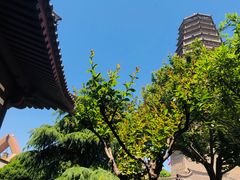 -法门文化景区
