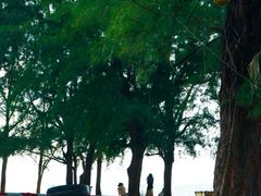 -巽寮印象美食部落餐厅·海鲜·地方特色菜(惠州体验店)