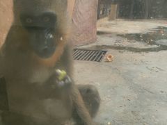 -石家庄市动物园