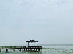 -莲花岛景区
