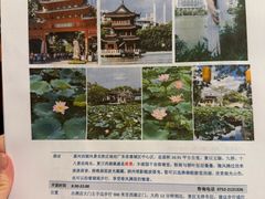 -惠州康帝国际酒店