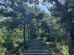 -北京西山国家森林公园