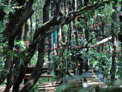 -大雁山风景区
