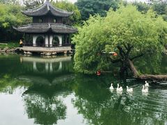 -水绘园