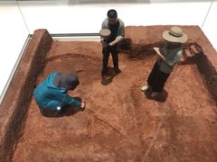 -盘龙城国家考古遗址公园