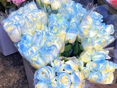 -循礼门鲜花花市(武汉循礼门店)