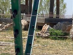 -鄂尔多斯野生动物园