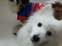 -潮派KTV(东晓南旗舰店)
