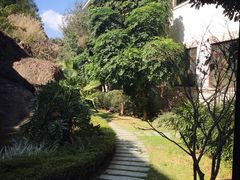 -福建鲤鱼洲酒店