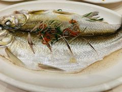 清蒸白鱼-得月楼·省级非遗·传统苏帮菜(观前店)