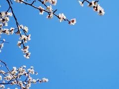 -无锡梅园公园