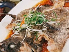 清蒸多宝鱼-顺风海鲜港(金玉兰店)