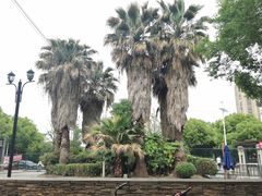 -同济大学(嘉定校区)