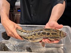 -太二酸菜鱼(石家庄万象城店)