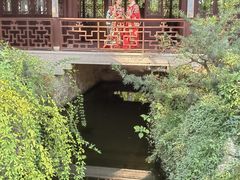 -上海醉白池公园