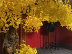 -凤绫儿亲子儿童摄影馆(天津店)