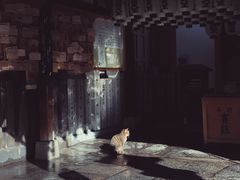 -道顿堀