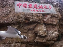 -海驴岛(荣成市)