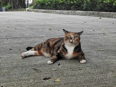 -荔香公园