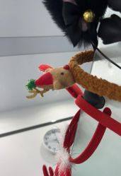 -蕾特恩专业祛痘国际连锁